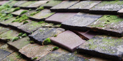Pegsdon roof repair costs